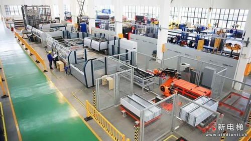 植树节 与森赫共奏双碳高质量发展主旋绿